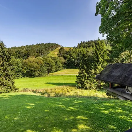 Zum Holzknecht Dom wakacyjny Willingen (Upland)